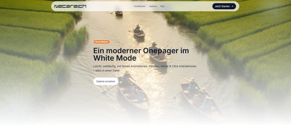 Die 279 Euro Website von netzreich